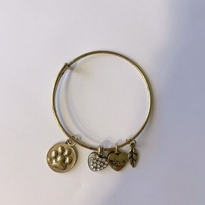 PAW 🐾 BRACELET